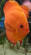 20180220_095534.webp