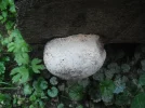 DSCF2479.webp