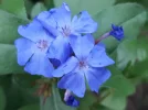 20180819_192314.webp