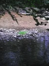 DSCF2394.webp