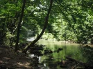 DSCF2432.webp