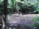 DSCF2430 (2).webp