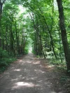 DSCF2424.webp
