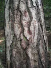 DSCF2426.webp