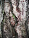 DSCF2427.webp