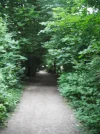 DSCF2434.webp