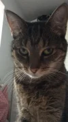 IMG-20180815-WA0000.webp