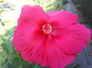 20180821_094209.webp