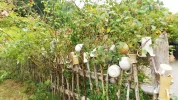 DSCF9834 (2).webp
