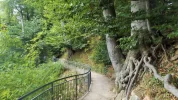 DSCF9860 (2).webp