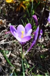 screenshot_2017-03-274gsx2.webp