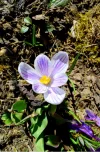 screenshot_2017-03-27pgsbq.webp