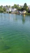 20180820_130951.webp