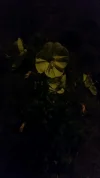 rps20180822_192519.webp