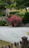 2018-08-24 14.42.03.webp