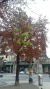 20180825_124920.webp