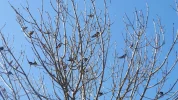 DSCF9943 (2).webp