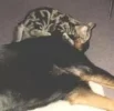 Kopie von Sarah und Charly (6).webp