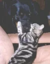 Kopie von Sarah und Charly.webp