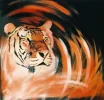 Tiger JPEG.webp