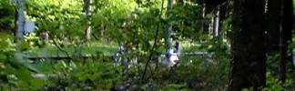 Gesichter.webp