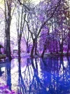 starkebäume Kleine Webansicht.webp