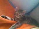 Foto038.webp