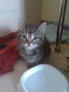 Foto013.webp