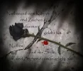 Narben.webp