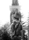 federfrau.webp
