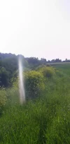 S5021315.webp