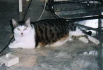 Baby (12 Jahre).webp