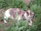 ALIM0013.webp