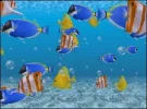 fische.webp