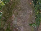 022.webp