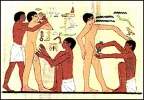 Circum_Egypt.webp
