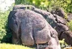elefantenstein.webp