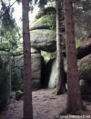 Rechberg3_Herbst.webp