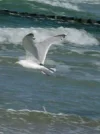 DSCI0167.webp