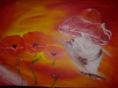 DSC00271.webp