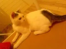 Bild107.webp