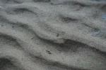 Sandduenen_Leitha.webp