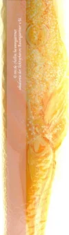 engelslicht_detail2.webp