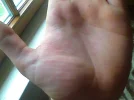 Bild014.webp