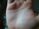 Bild015.webp