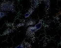 l_79779799cff6c9bb35d191de48de9201.webp