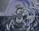 02.webp