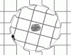 image003.gif