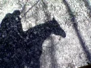 Bild028.webp