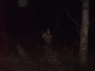 HPIM0289.webp